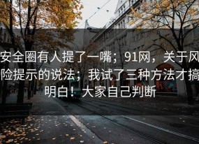 安全圈有人提了一嘴；91网，关于风险提示的说法；我试了三种方法才搞明白！大家自己判断