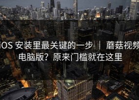 iOS 安装里最关键的一步 ｜ 蘑菇视频电脑版？原来门槛就在这里