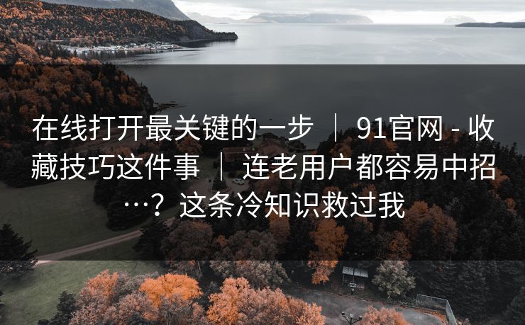 在线打开最关键的一步 | 91官网 - 收藏技巧这件事 | 连老用户都容易中招…?这条冷知识救过我 在线打开最关键的一步 | 91官网 - 收藏技巧这件事 | 连老用户都容易中招…?这条冷知识救过我