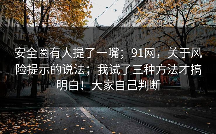 安全圈有人提了一嘴;91网,关于风险提示的说法;我试了三种方法才搞明白!大家自己判断 安全圈有人提了一嘴;91网,关于风险提示的说法;我试了三种方法才搞明白!大家自己判断